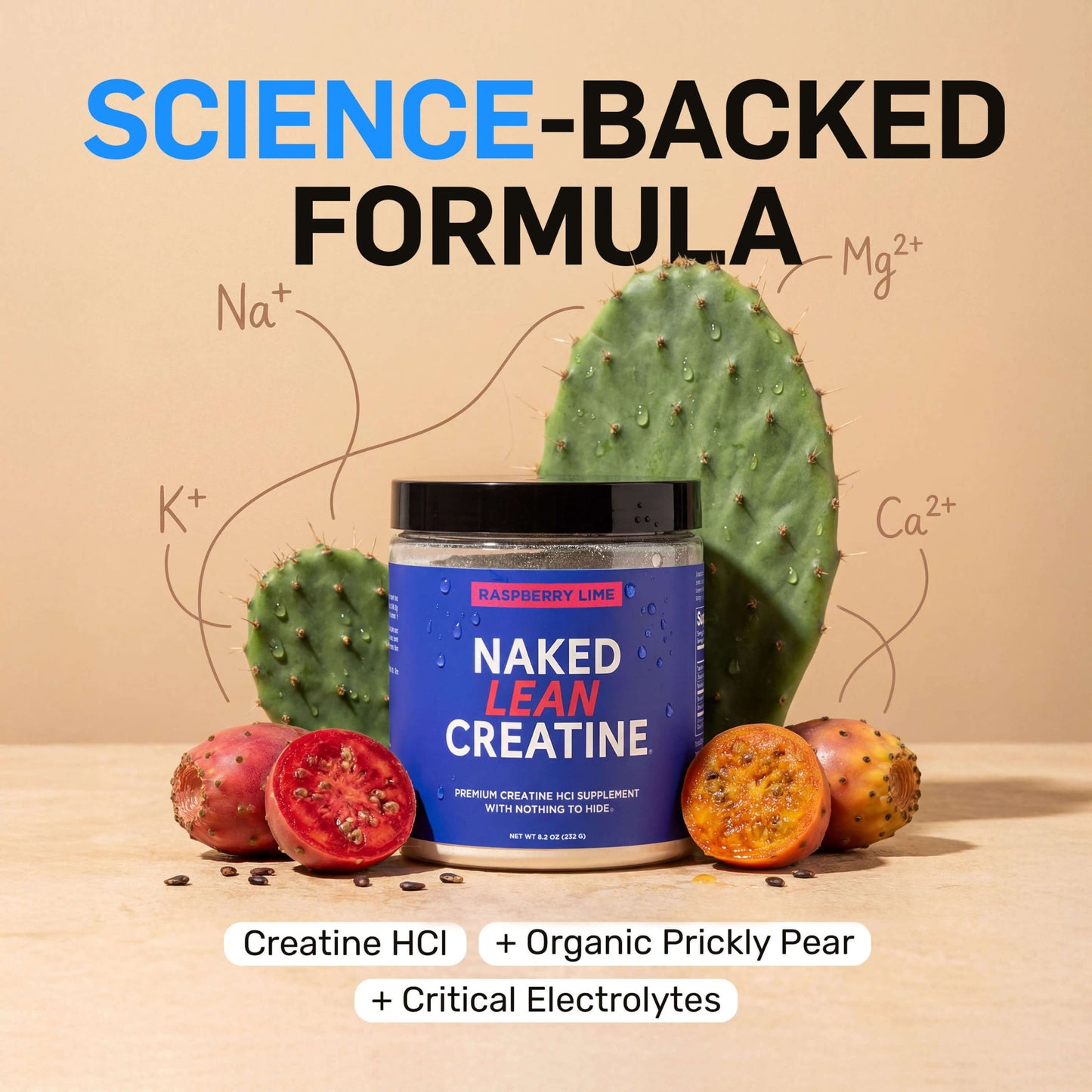 Raspberry Lime Creatine HCl Powder - Raspberry Lime for Straightforward Workout Nutrition