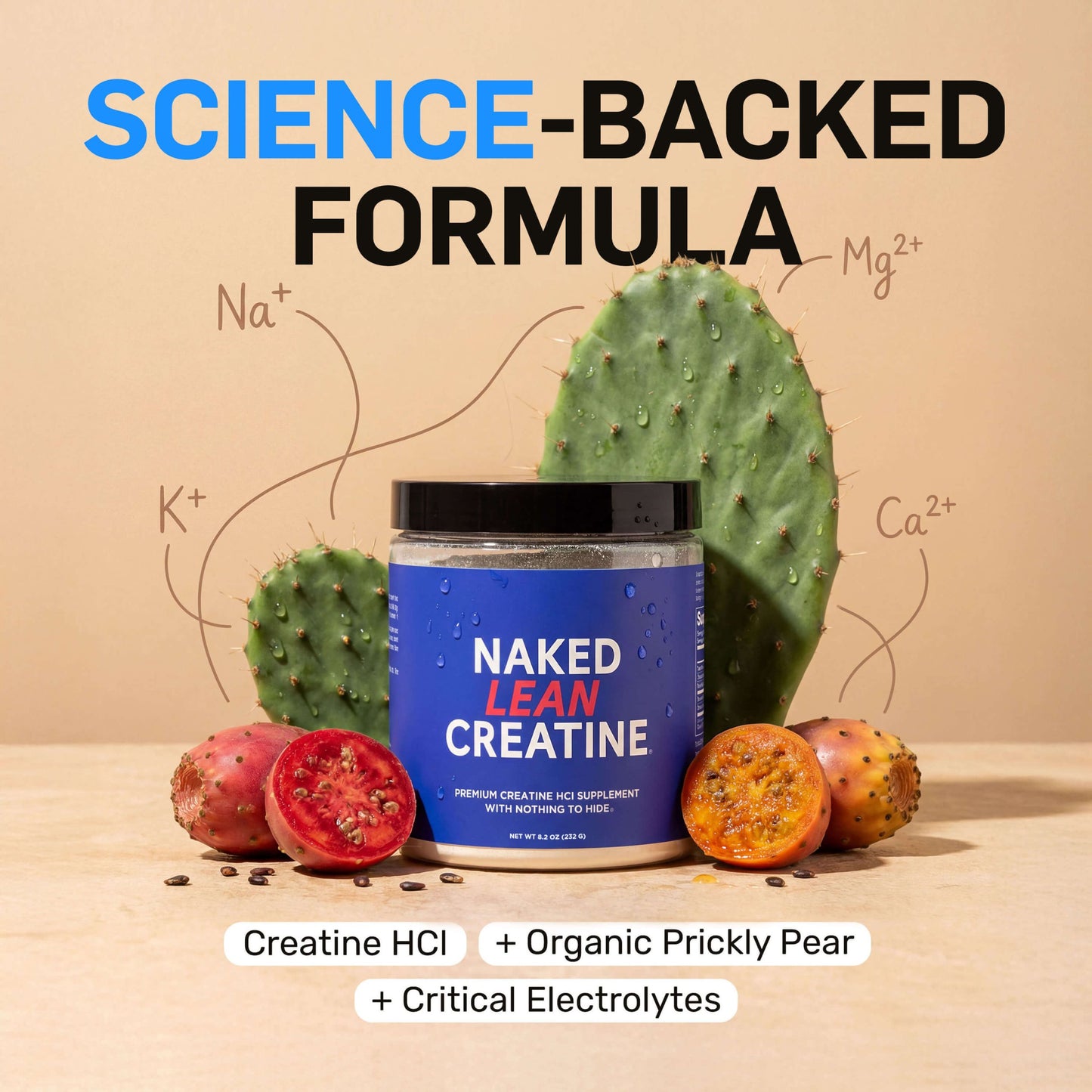 Creatine HCl Powder - Unflavored for Straightforward Workout Nutrition
