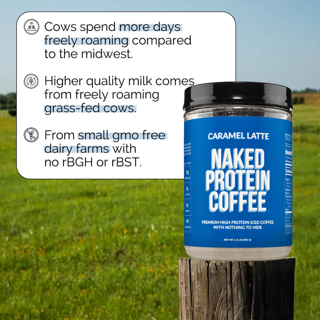 Caramel Latte Protein Iced Coffee - Caramel Latte for Simple Coffee and Protein Mixing