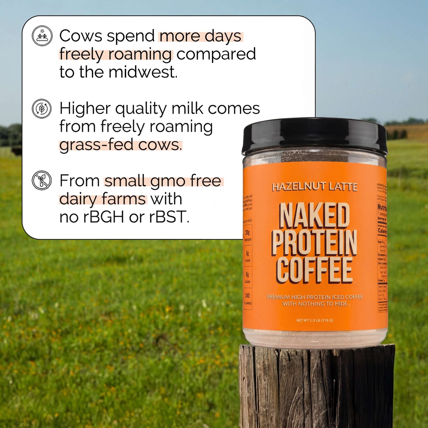Hazelnut Latte Protein Iced Coffee - Hazelnut Latte for Simple Coffee and Protein Mixing