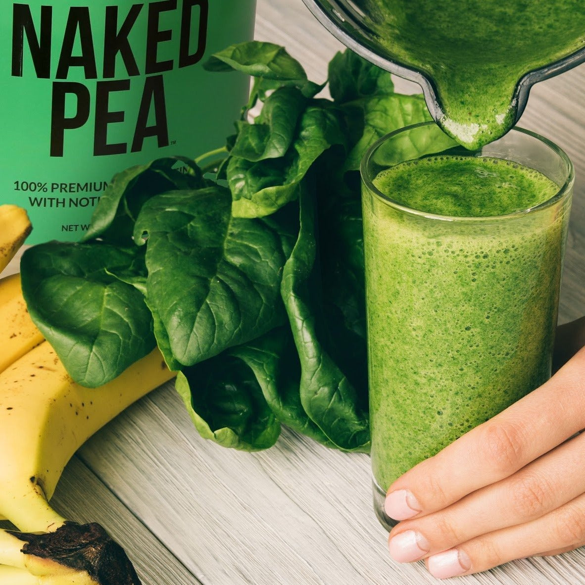 Vegan Protein Powder Sample Pack for Simple Daily Protein Routines