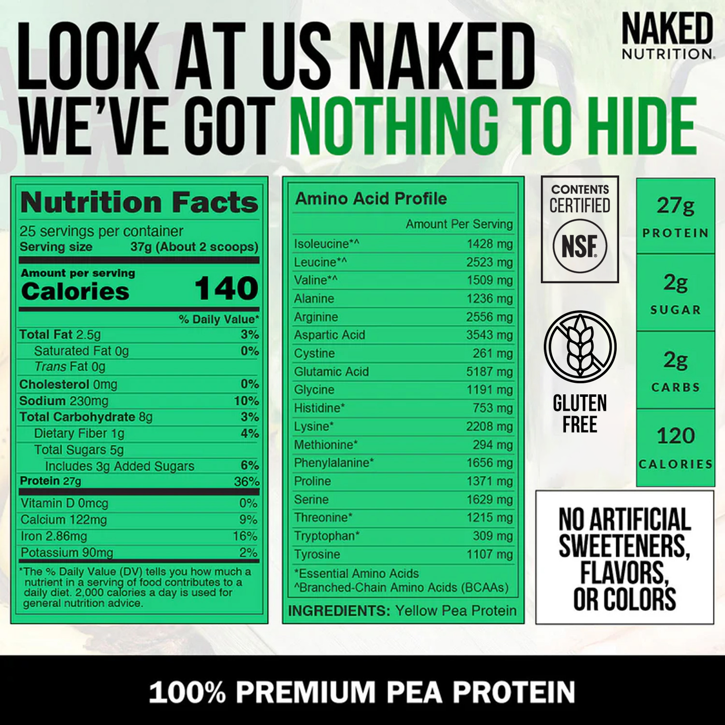 Pea Protein Powder - Unflavored - Standard Size for Simple Daily Protein Routines