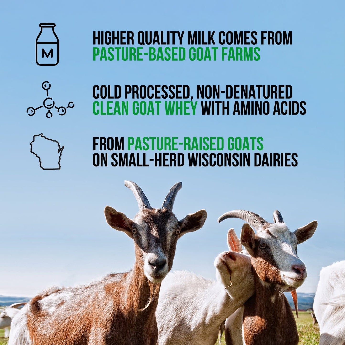 Chocolate Goat Whey Protein Powder - Chocolate for Simple Daily Protein Routines