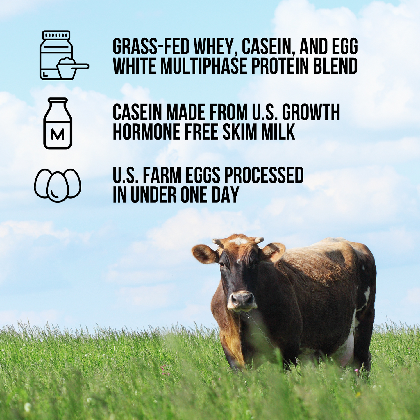 Protein Powder Blend - 3LB Egg Whey & Casein Protein Blend - 3LB for Simple Daily Protein Routines