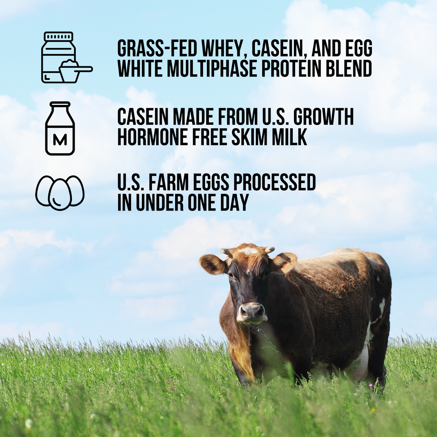 Protein Powder Blend - 1LB Egg Whey & Casein Protein Blend - 1LB for Simple Daily Protein Routines