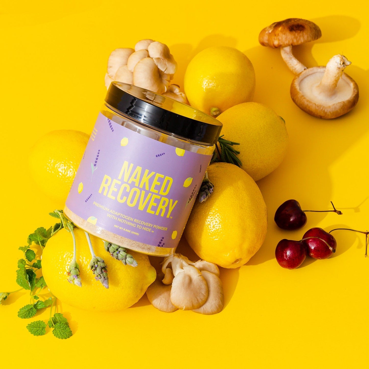 Mushroom Blend Supplement with Tart Cherry & Lemon Balm with a Straightforward, Versatile Formula