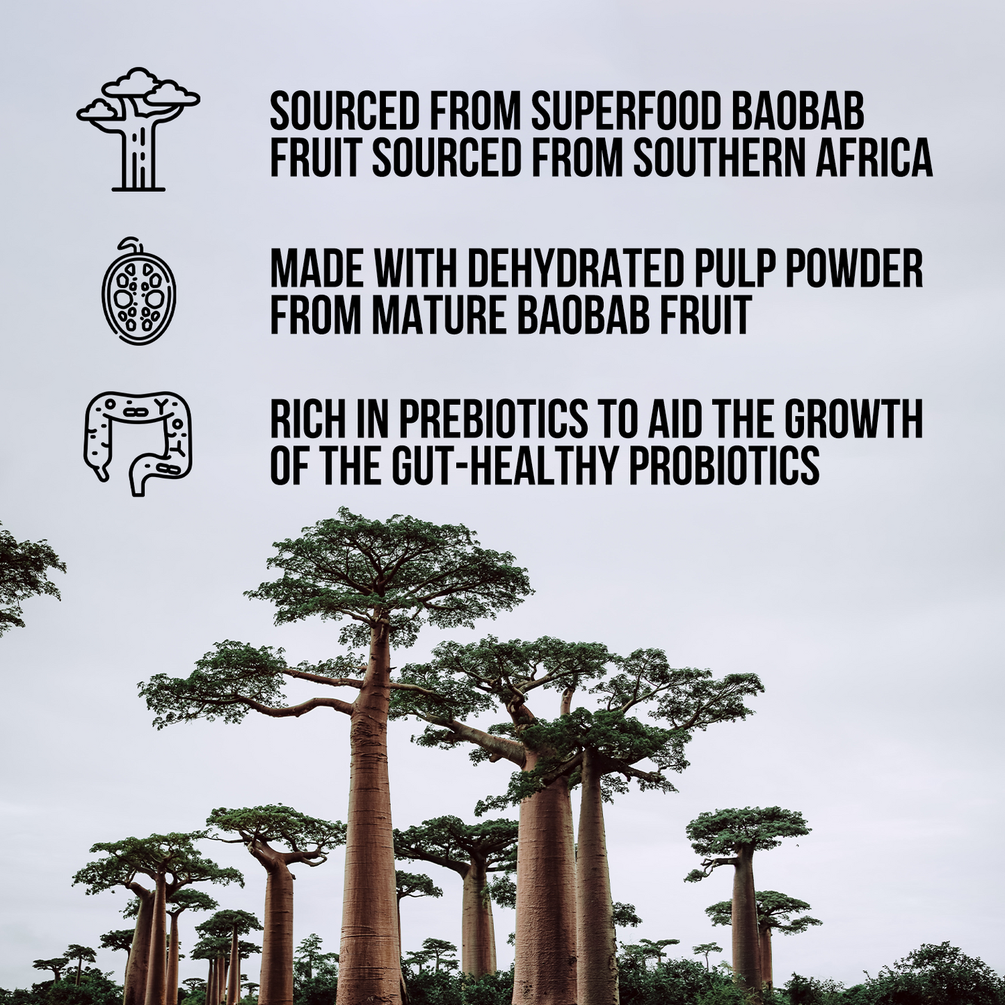 Organic Fiber Supplement with a Straightforward, Versatile Formula