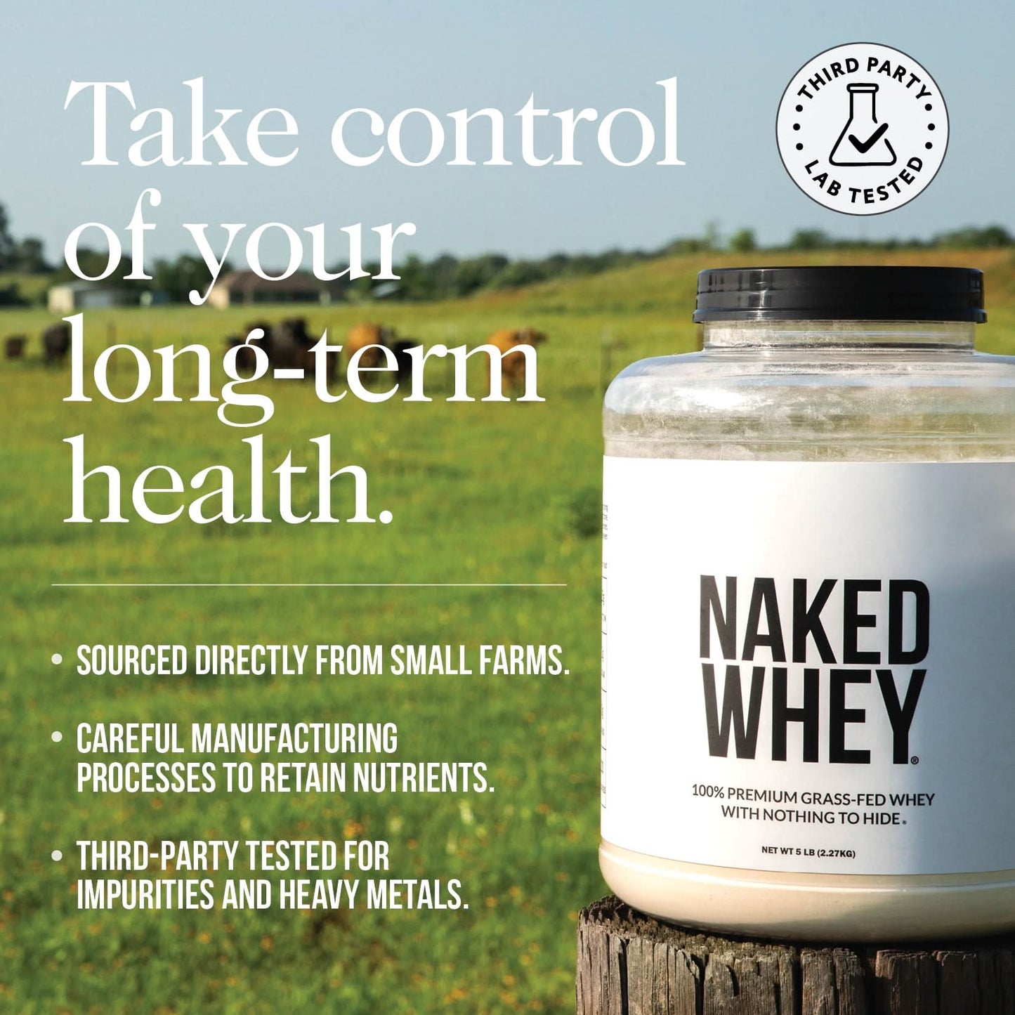 Vanilla Whey Protein Powder - Vanilla - Standard Size for Simple Daily Protein Routines