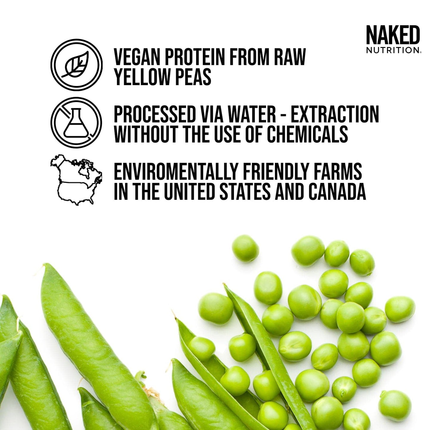 Vegan Protein Powder Sample Pack for Simple Daily Protein Routines