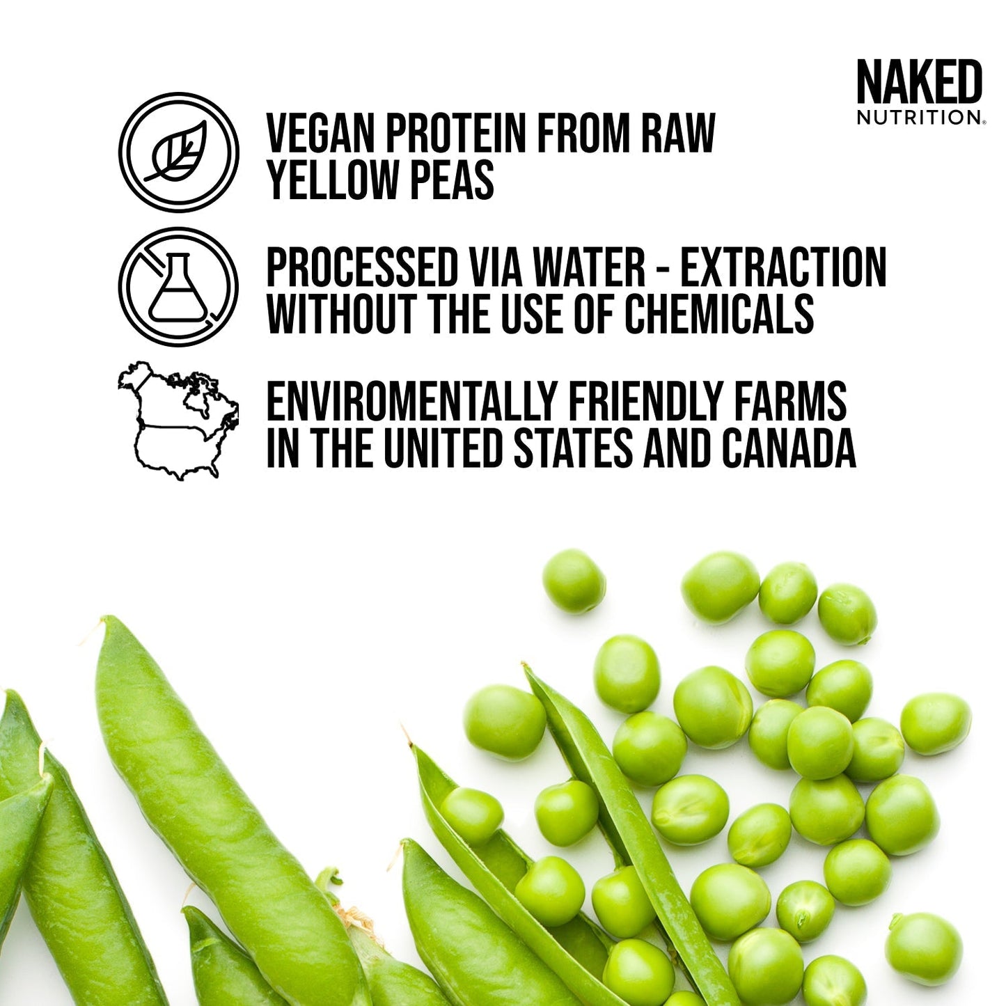 Vanilla Pea Protein Powder - Vanilla - Compact Size for Simple Daily Protein Routines